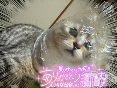 長岡デリヘル 長岡風俗出張アロママッサージ(ナガオカフウゾクシュッチョウアロママッサージ) 素人君も至れり尽くせり♪あきら(32)の3月25日写メブログ「沼❤️沼❤️沼❤️」