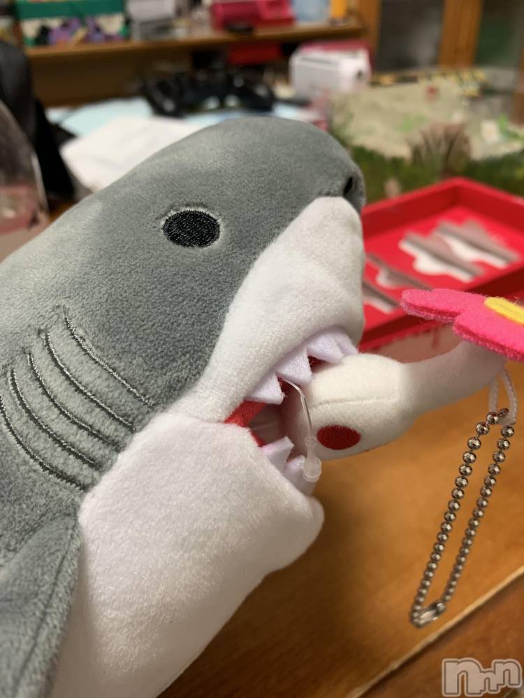 ʥå륺С饪աɥС Mimi(饪աɥС ߥ) ߤȤ39̥֥🦈🌱