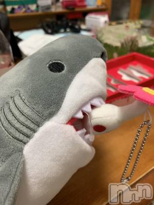 ʥå륺С饪աɥС Mimi(饪աɥС ߥ) ߤ(24)39̥֥🦈🌱