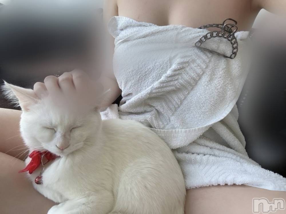長岡人妻デリヘル長岡人妻市(ナガオカヒトヅマイチ) せりか★『極嬢』による乳首攻め(34)の2月22日写メブログ「最高な幸せすぎる日」