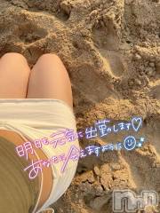 長岡デリヘル長岡人妻市(ナガオカヒトヅマイチ) せりか★『極嬢』による乳首攻め(34)の7月15日写メブログ「チョキチョキ🦞」