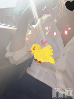 長岡デリヘル 長岡人妻市(ナガオカヒトヅマイチ) せりか★『極嬢』による乳首攻め(34)の8月10日写メブログ「こそこそっと」
