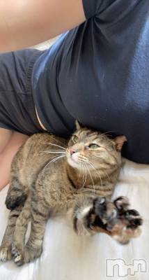 長岡デリヘル 長岡人妻市(ナガオカヒトヅマイチ) せりか★『極嬢』による乳首攻め(34)の12月22日写メブログ「あーぱつ、あぱつ」