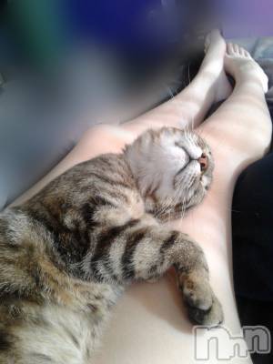 長岡デリヘル 長岡人妻市(ナガオカヒトヅマイチ) せりか★『極嬢』による乳首攻め(34)の1月24日写メブログ「ぺろぺろ🧡はやばい…(*/□＼*)♡」