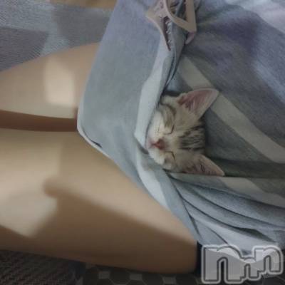 長岡デリヘル 長岡人妻市(ナガオカヒトヅマイチ) せりか★『極嬢』による乳首攻め(34)の3月16日写メブログ「ちゅーーーしまくり♡」