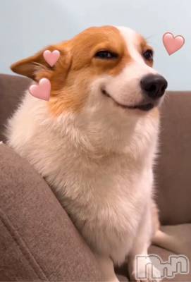 長岡デリヘル 長岡人妻市(ナガオカヒトヅマイチ) せりか★『極嬢』による乳首攻め(34)の9月16日写メブログ「発狂♡笑」