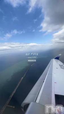 旅行！