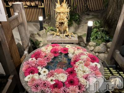 ����ȯ����ѥ˥��󥯥�֥���ѥ˥��󥯥�� �饤�� �ߤʤ�(28)��5��15���̥�֥�����;�ˤ�����🙏��
