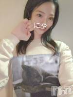 ĮХ顦lounge Garden(饦󥸥ǥ) ®µפ922̥֥2åȡ