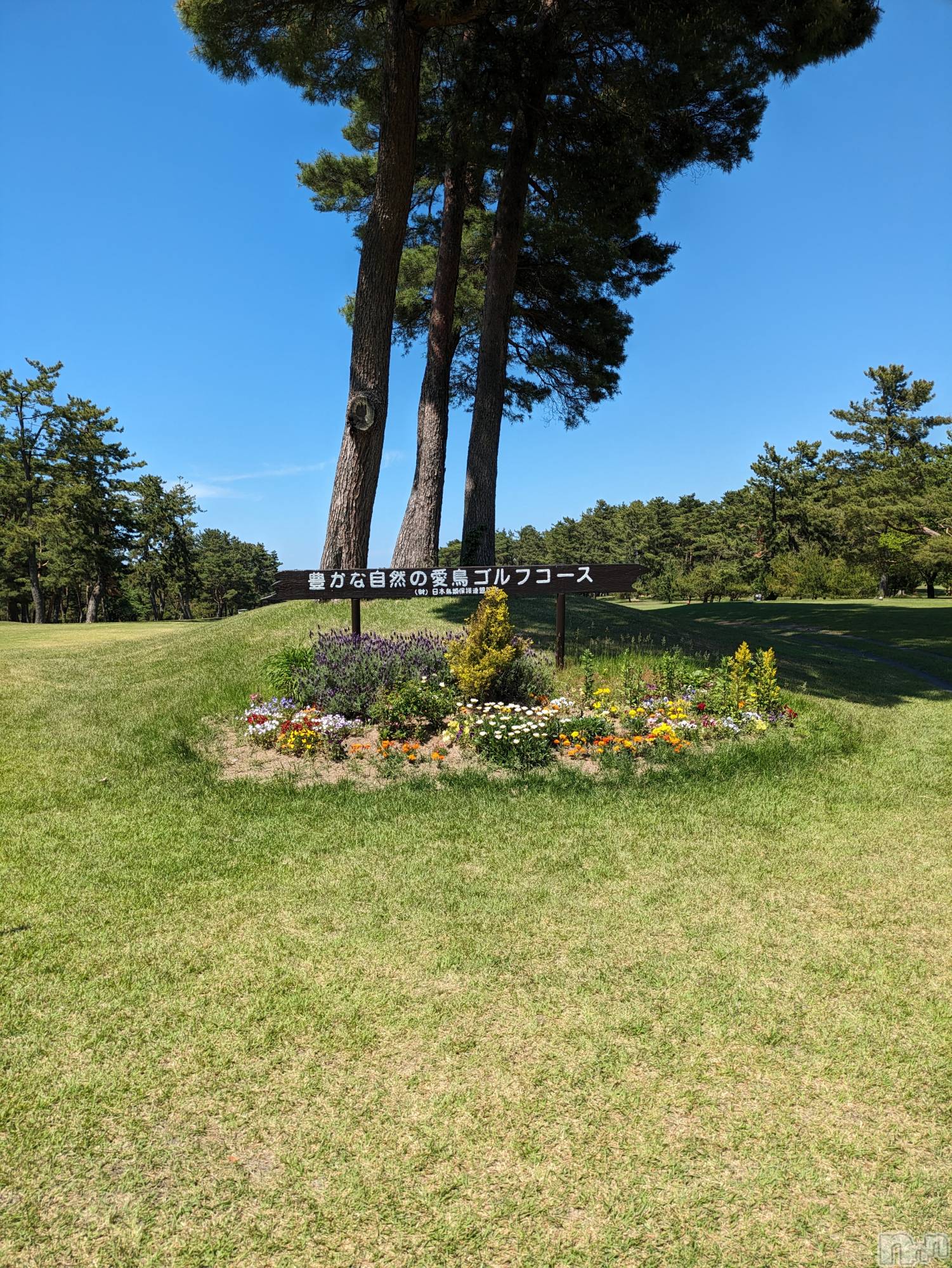ĮХ顦lounge Garden(饦󥸥ǥ) 2024ǯ522̥֥5Ⱦ