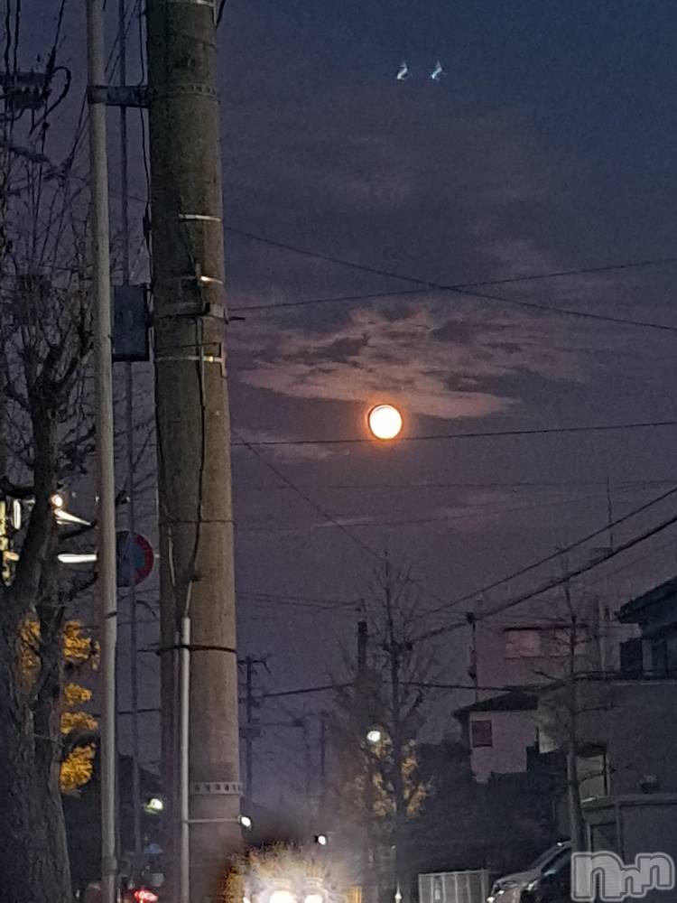 ʥå륺СSNACK Himawari(ʥåҥޥ) Ť1128̥֥🌃