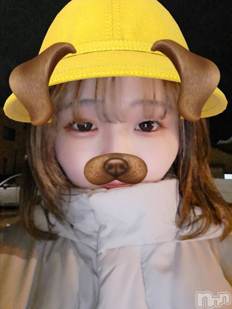 ʥå륺СSNACK Himawari(ʥåҥޥ) Ť1213̥֥👶