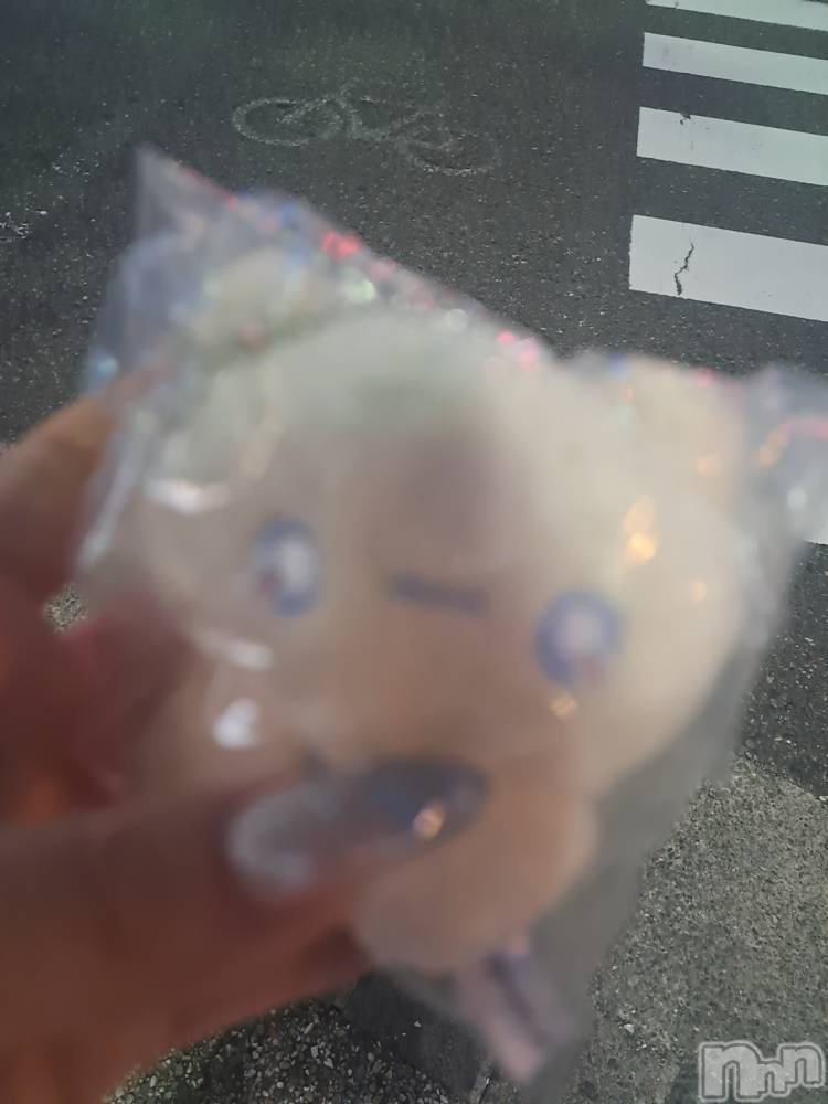 ʥå륺СSNACK Himawari(ʥåҥޥ) Ť726̥֥🫶🐻
