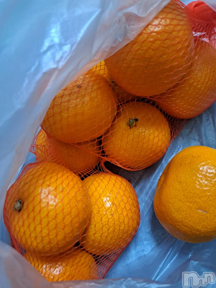 ʥå륺СSNACK Himawari(ʥåҥޥ) Ť1219̥֥🫶