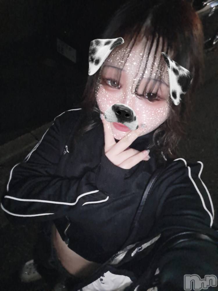 ʥå륺СSNACK Himawari(ʥåҥޥ) Ť228̥֥🫶