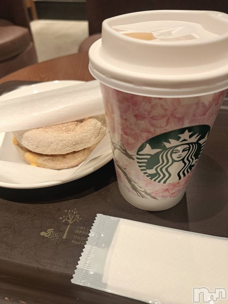 ʥå륺СSNACK Himawari(ʥåҥޥ) Ť38̥֥🫶