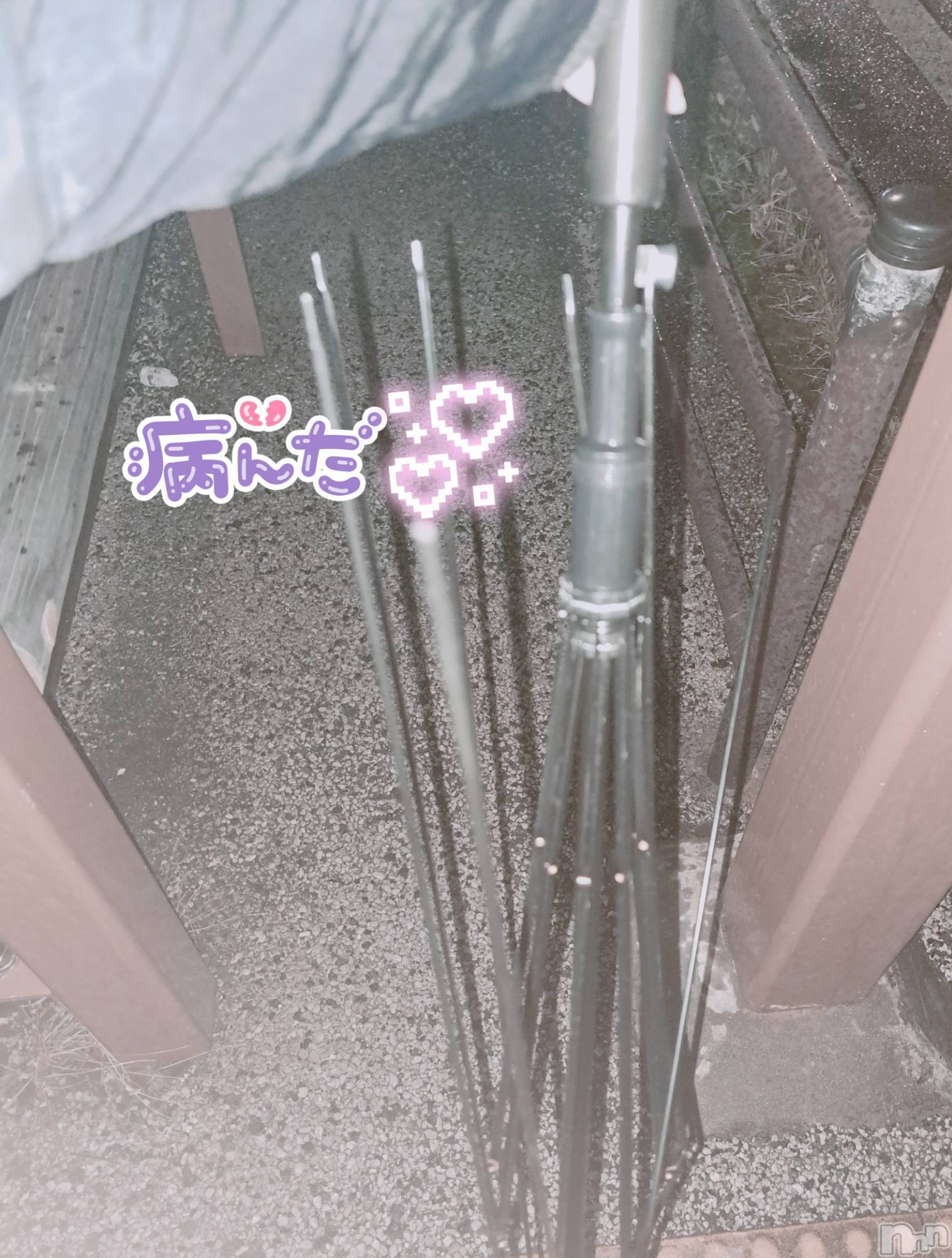 ʥå륺СSNACK Himawari(ʥåҥޥ) 2023ǯ1118ֻ̥֥ޤ