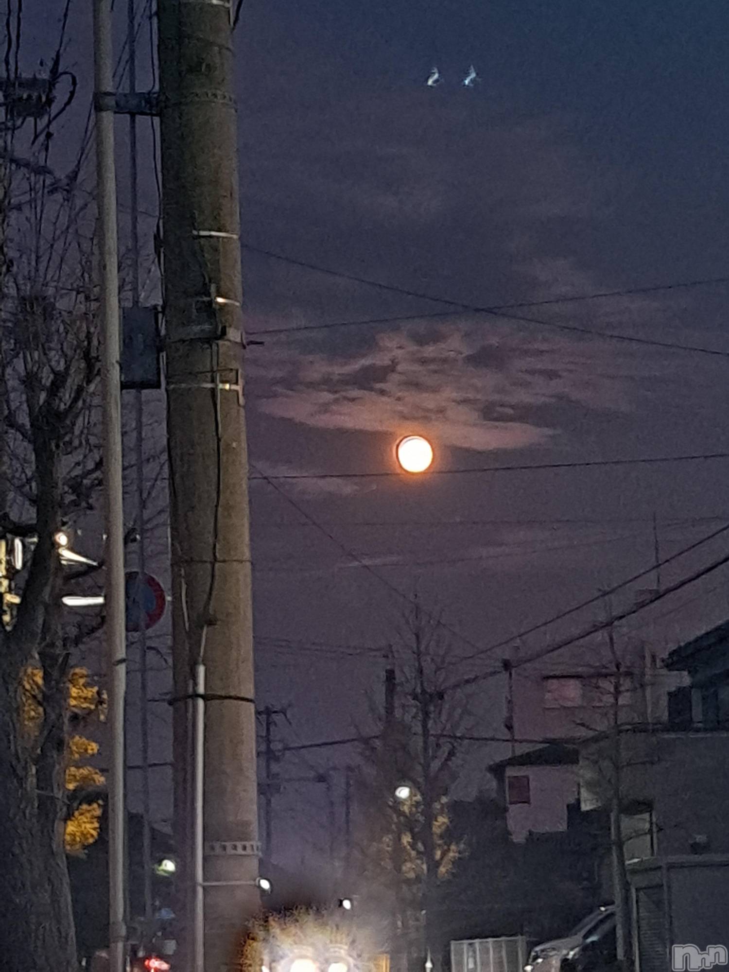 ʥå륺СSNACK Himawari(ʥåҥޥ) 2023ǯ1128̥֥🌃