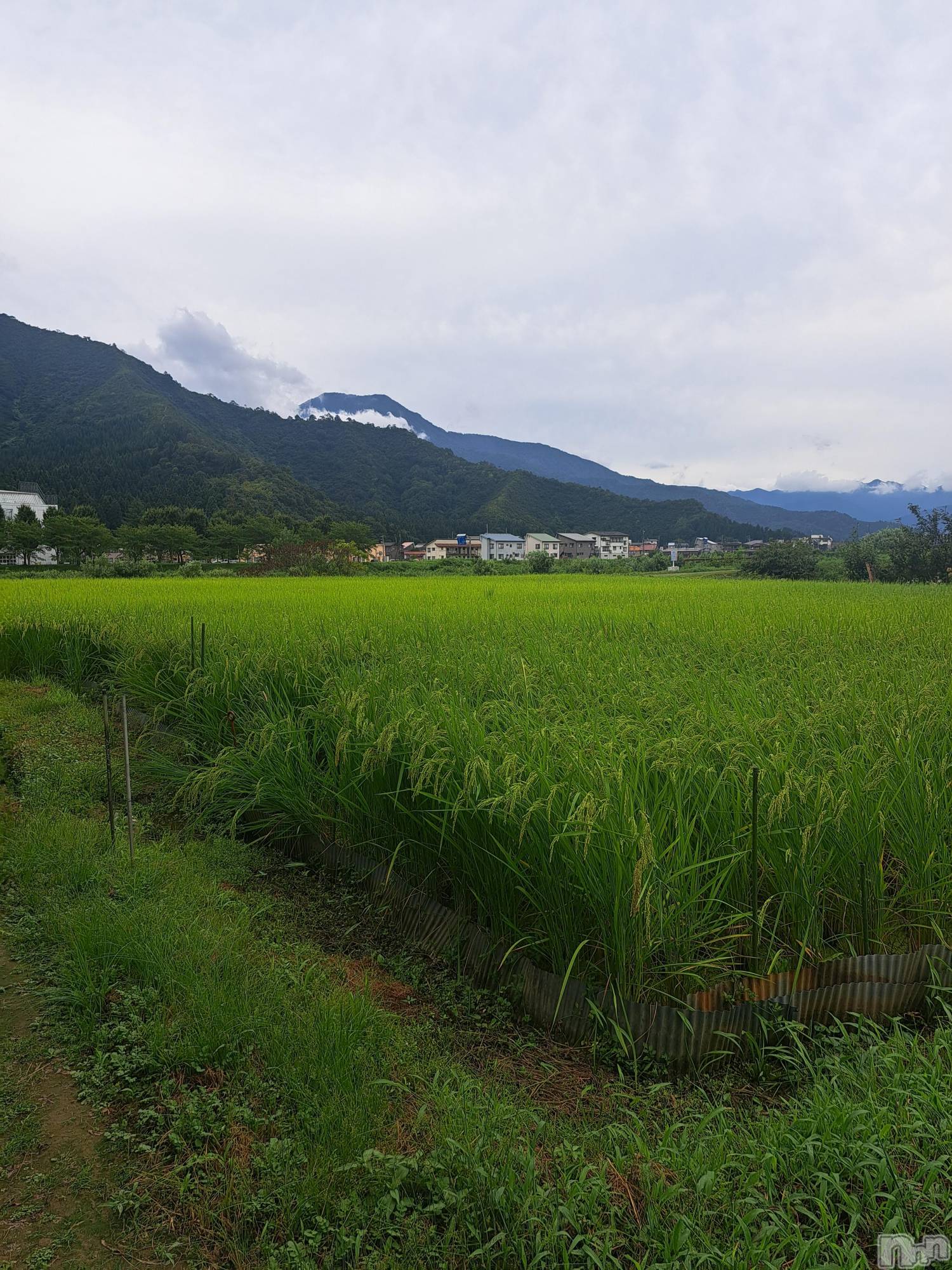 ʥå륺СSNACK Himawari(ʥåҥޥ) 2024ǯ829̥֥🫶