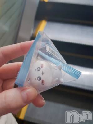ʥå륺СSNACK Himawari(ʥåҥޥ) Ť(22)626̥֥🐁