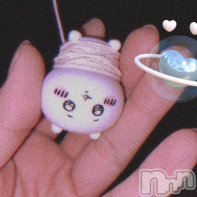 ʥå륺СSNACK Himawari(ʥåҥޥ) Ť(22)630̥֥🐀🎣