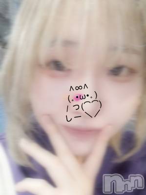 ʥå륺СSNACK Himawari(ʥåҥޥ) Ť(22)113̥֥🫶