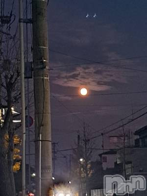 ʥå륺СSNACK Himawari(ʥåҥޥ) Ť(22)1128̥֥🌃