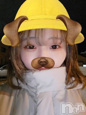 ʥå륺СSNACK Himawari(ʥåҥޥ) Ť(22)1213̥֥👶