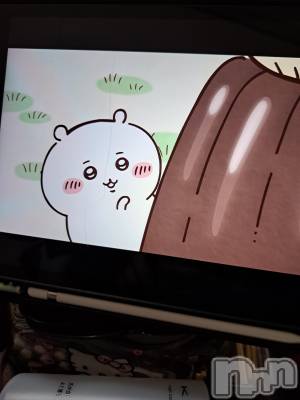 ʥå륺СSNACK Himawari(ʥåҥޥ) Ť(22)211̥֥(՞ o̴̶̷̤  ̫ o̴̶̷̤ ՞)