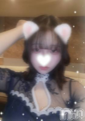 ʥå륺СSNACK Himawari(ʥåҥޥ) Ť(22)219̥֥🫶
