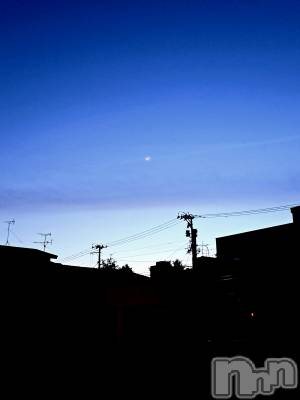 ʥå륺СSNACK Himawari(ʥåҥޥ) Ť(22)511̥֥🌃