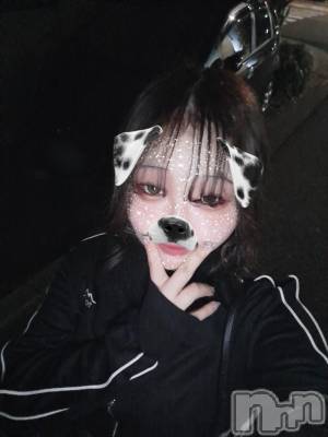 ʥå륺СSNACK Himawari(ʥåҥޥ) Ť(22)524̥֥🫶