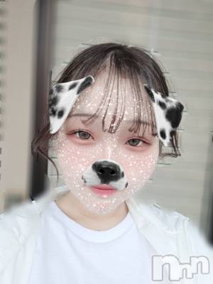 ʥå륺СSNACK Himawari(ʥåҥޥ) Ť(22)627̥֥🫶