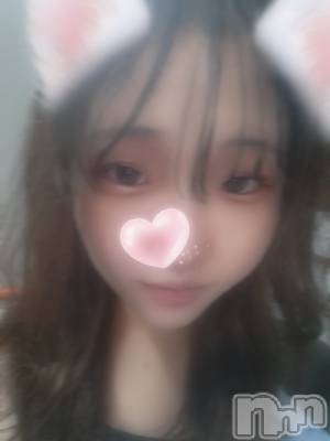ʥå륺СSNACK Himawari(ʥåҥޥ) Ť(22)717̥֥🫶