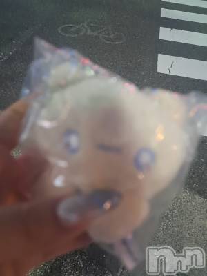 ʥå륺СSNACK Himawari(ʥåҥޥ) Ť(22)726̥֥🫶🐻