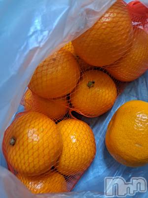 ʥå륺СSNACK Himawari(ʥåҥޥ) Ť(22)1219̥֥🫶
