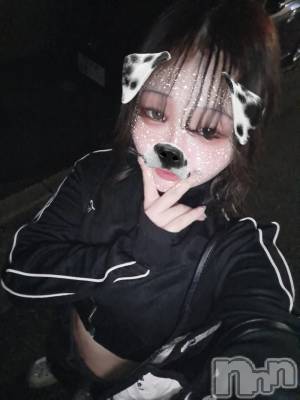 ʥå륺СSNACK Himawari(ʥåҥޥ) Ť(22)228̥֥🫶