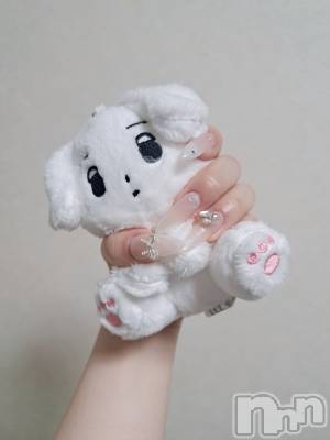 ʥå륺СSNACK Himawari(ʥåҥޥ) Ť(22)64̥֥ǥжФǤ✨️