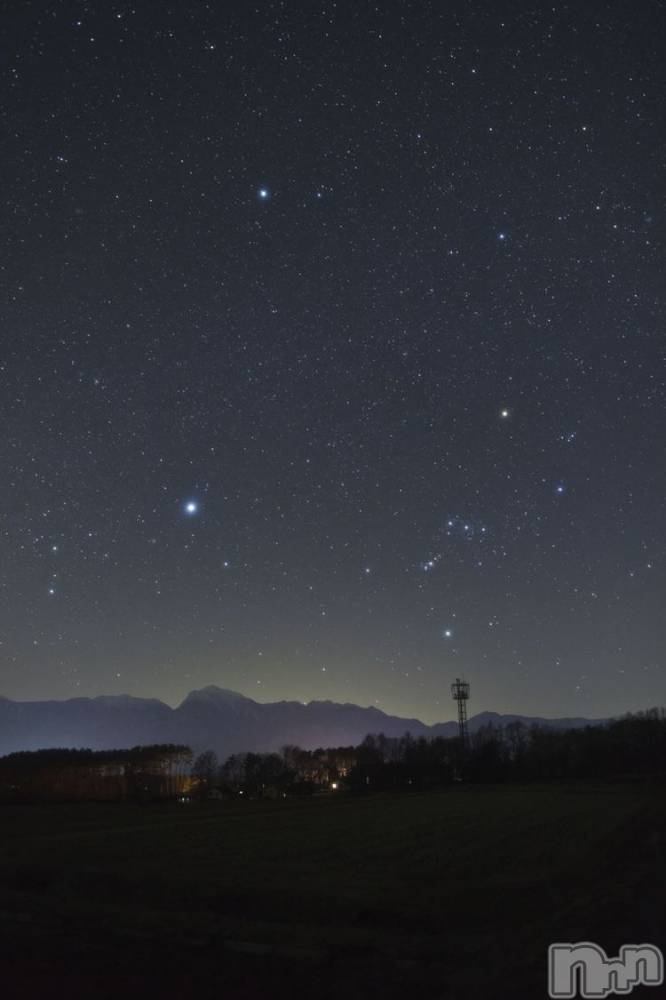 ���ᥭ��Х��顦�����Club Focus(����֡��ե�������) ��������7��7���̥�֥�����🎋⭐️��