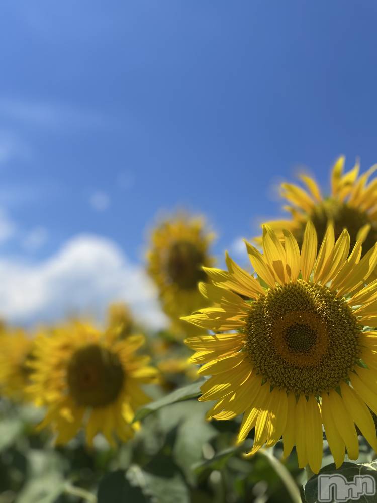 ���ᥭ��Х��顦�����Club Focus(����֡��ե�������) ��������8��4���̥�֥�����🌼🌼🌼��