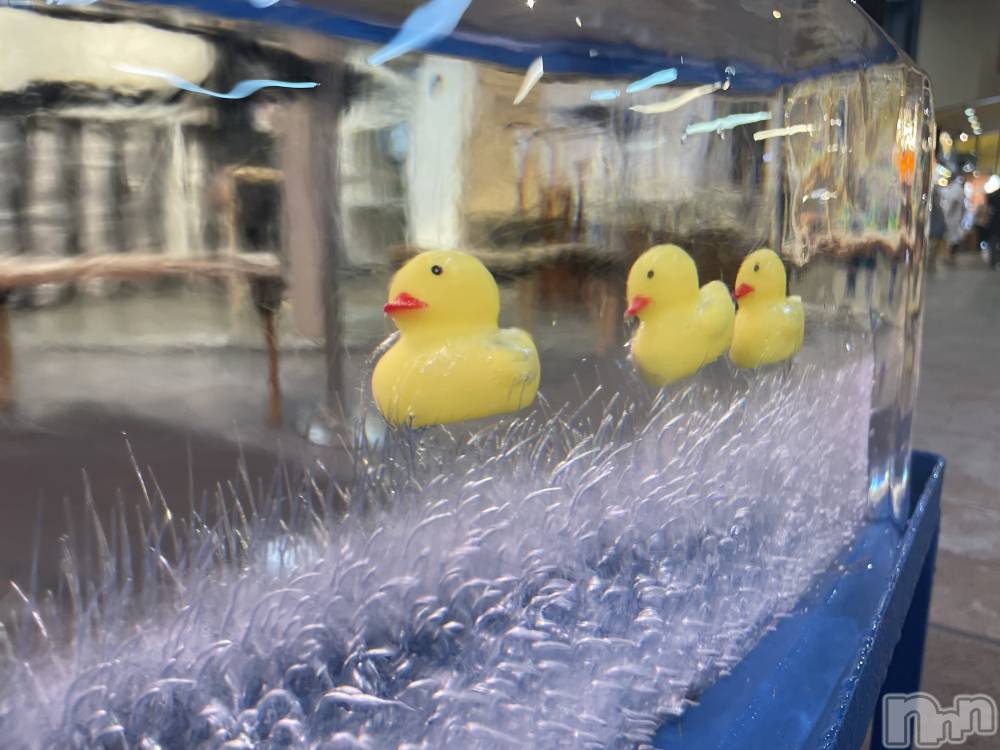 ���ᥭ��Х��顦�����Club Focus(����֡��ե�������) ��������9��7���̥�֥�����🐥🐥🐥��