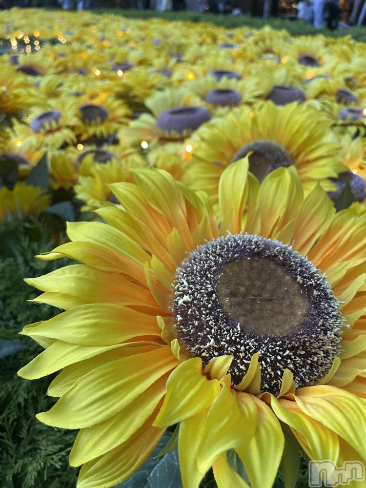 ���ᥭ��Х��顦�����Club Focus(����֡��ե�������) ��������7��23���̥�֥�����🌻🌻🌻��