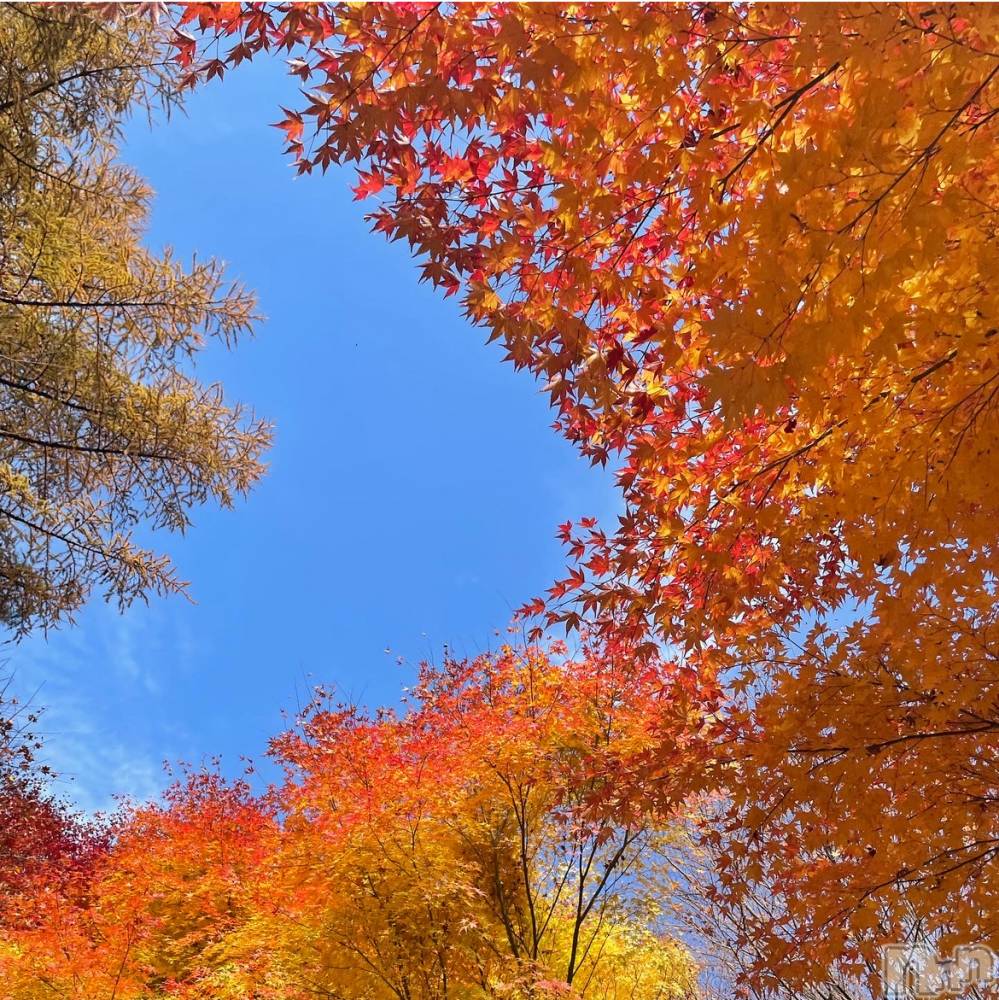 ���ᥭ��Х��顦�����Club Focus(����֡��ե�������) ��������11��8���̥�֥�����🍁🍁🍁��