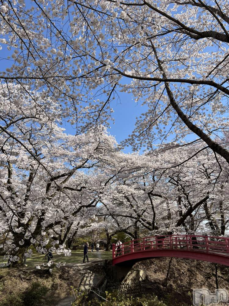 ���ᥭ��Х��顦�����Club Focus(����֡��ե�������) ��������4��16���̥�֥�����🌸🌸🌸��