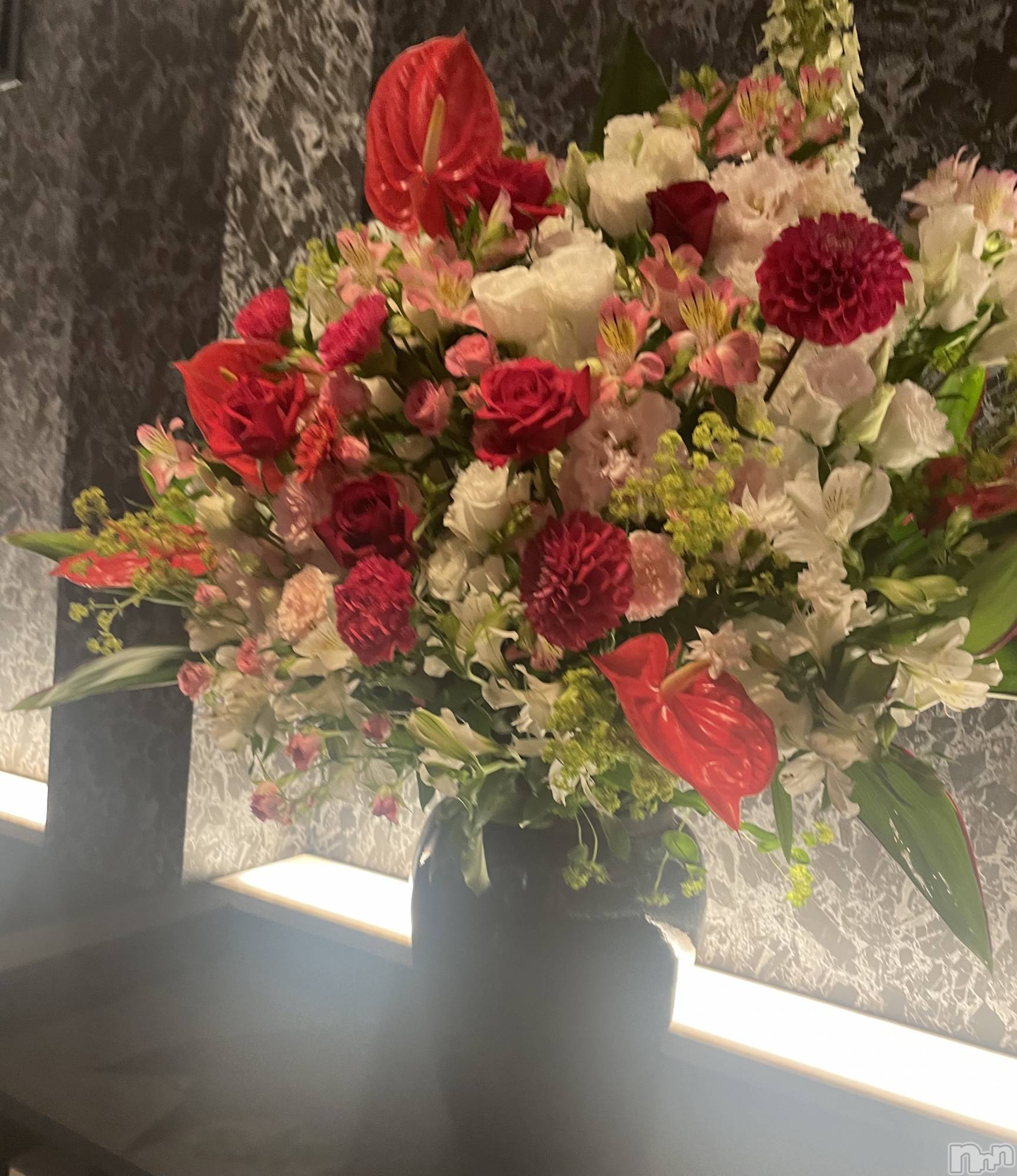 ���ᥭ��Х��顦�����Club Focus(����֡��ե�������) ��2023ǯ6��23���̥�֥�����6��23�� 20��07ʬ�Υ֥�����