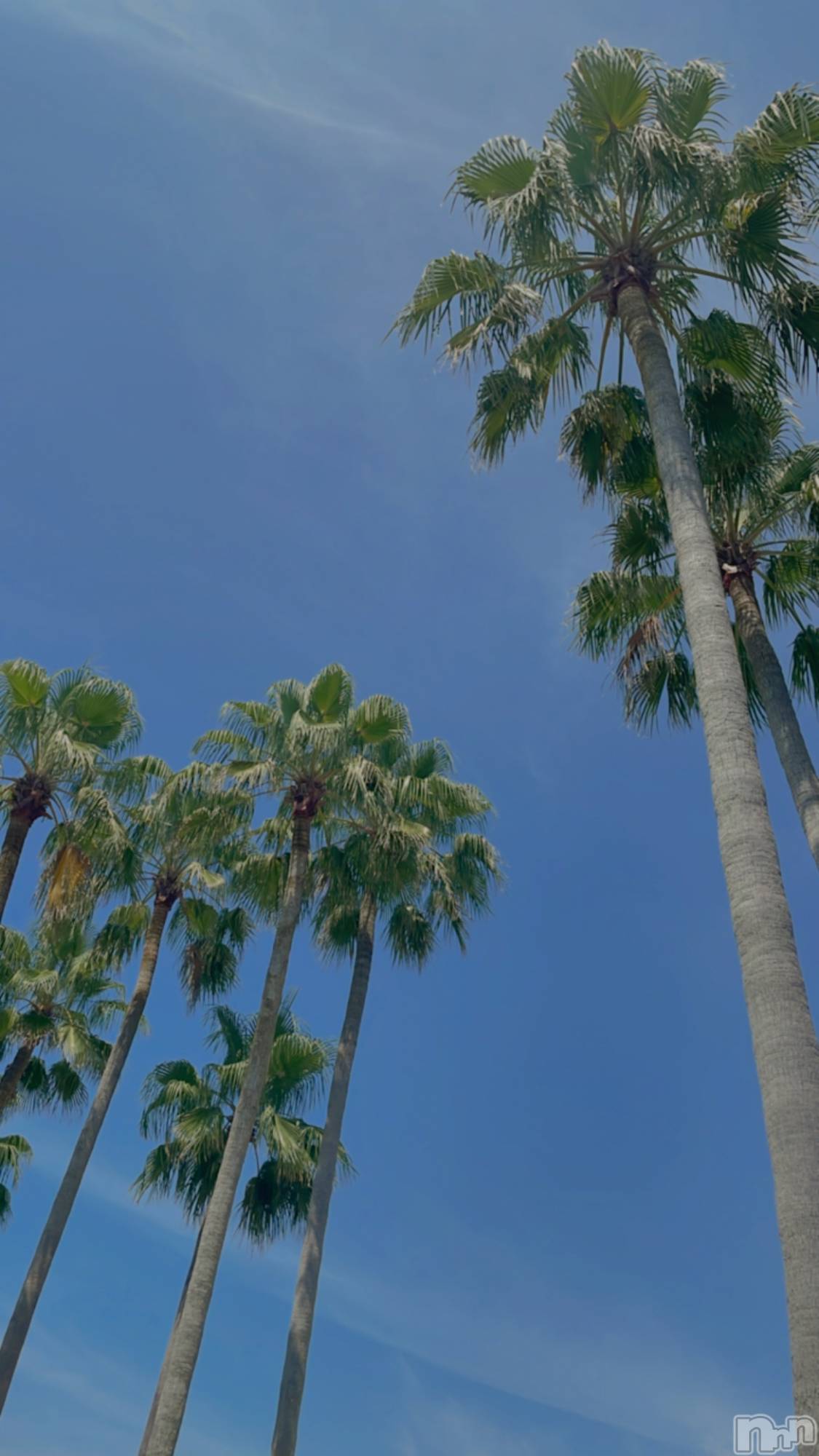 ���ᥭ��Х��顦�����Club Focus(����֡��ե�������) ��2023ǯ6��29���̥�֥�����☀️☀️☀️��