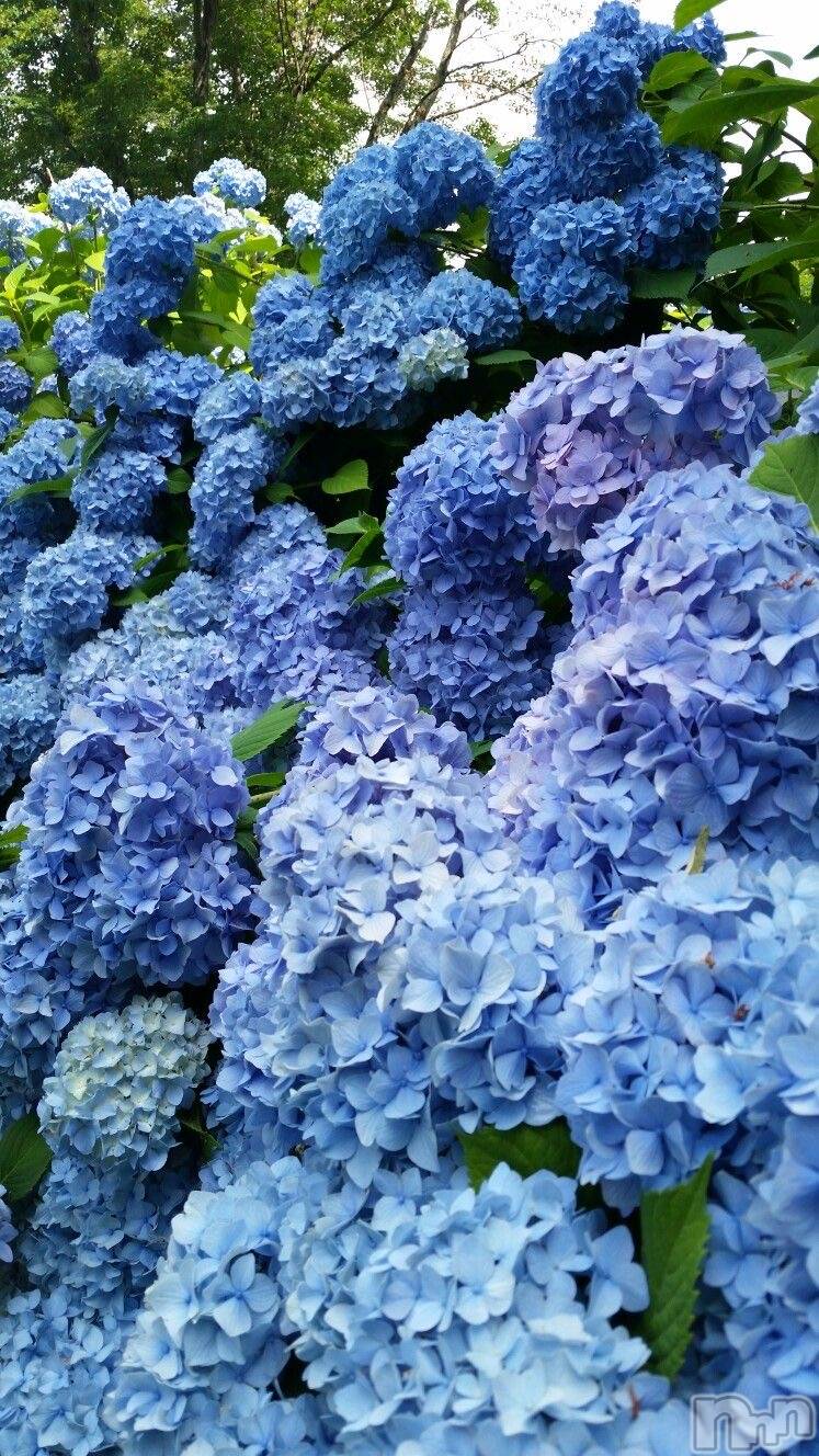 ���ᥭ��Х��顦�����Club Focus(����֡��ե�������) ��2023ǯ7��1���̥�֥�����☔️��