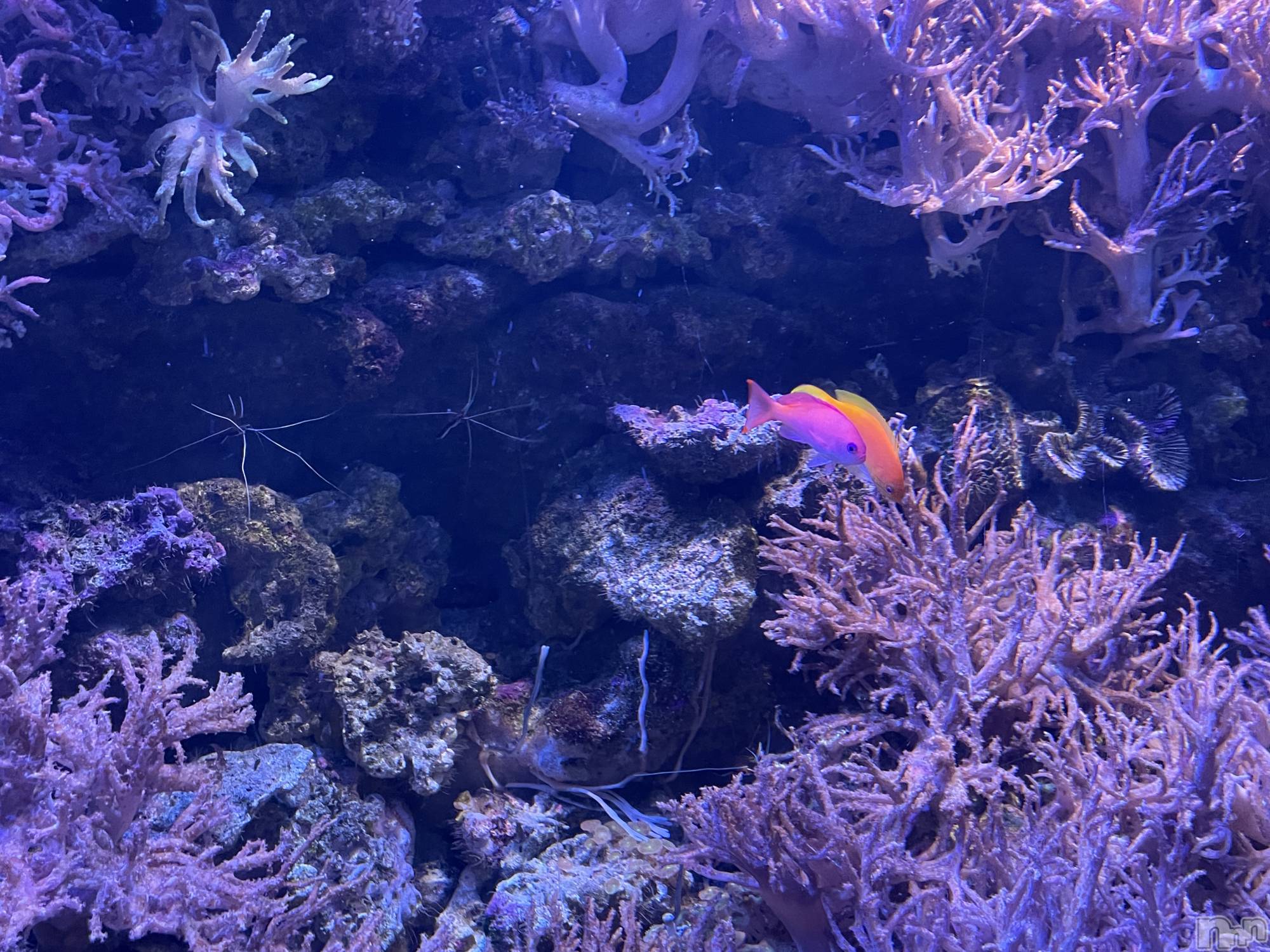 ���ᥭ��Х��顦�����Club Focus(����֡��ե�������) ��2023ǯ7��14���̥�֥�����🪼��