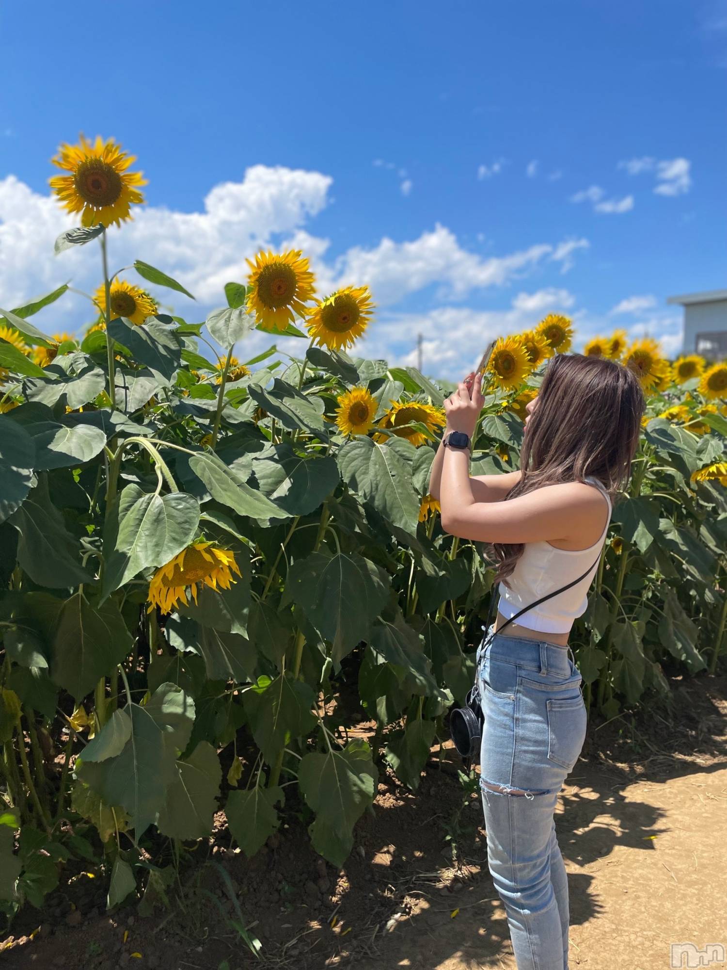 ���ᥭ��Х��顦�����Club Focus(����֡��ե�������) ��2023ǯ7��31���̥�֥�����🌻☀️��