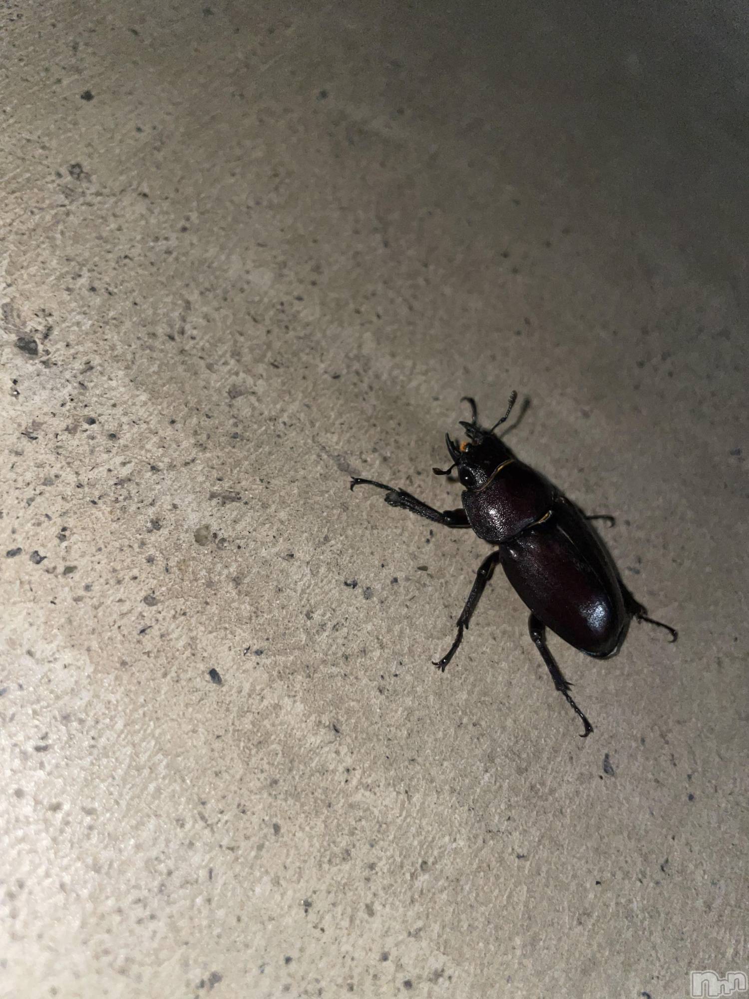 ���ᥭ��Х��顦�����Club Focus(����֡��ե�������) ��2023ǯ8��2���̥�֥�����🔥☀️��